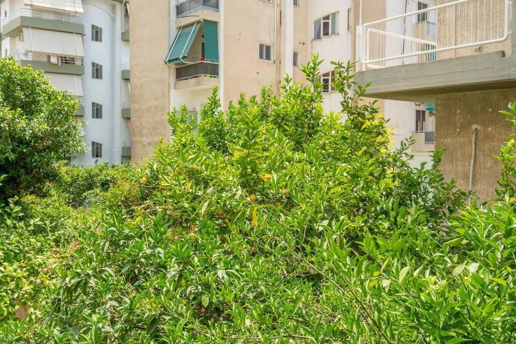 Apartament Alimos Sun-filled